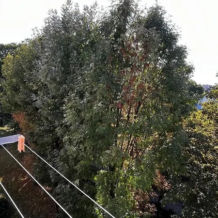 Apartment Gajowa Chorzow