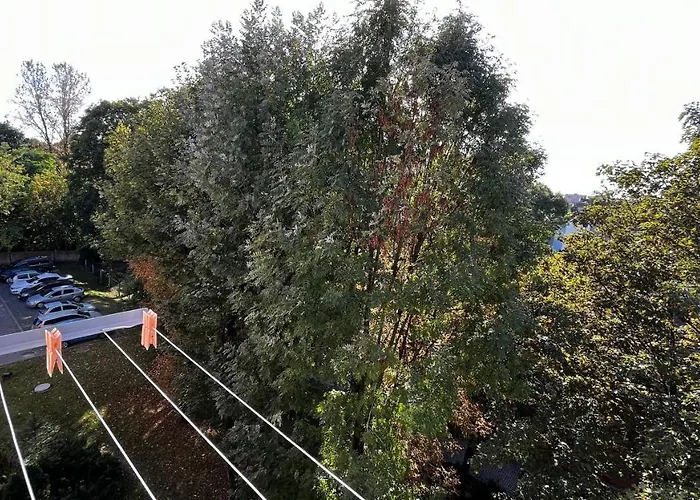 Appartamento Gajowa Chorzów